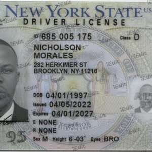Home new york dl